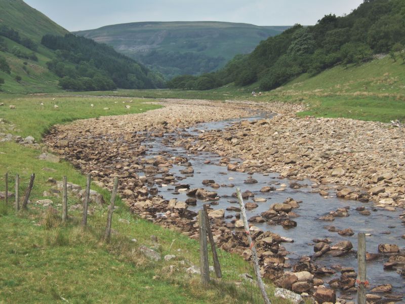 Landscape Swales Installation