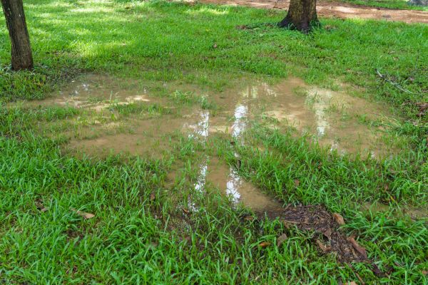 Cost of Storm Water Drainage Service in Auburn