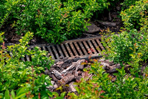 Cost of Underground Drainage Service in Auburn