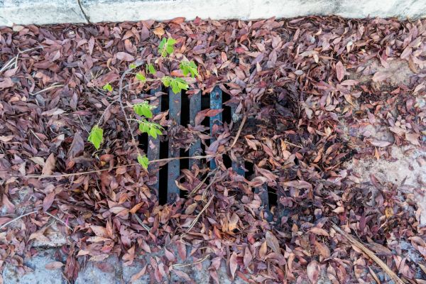 Cost of Yard Drain Unclogging in Auburn