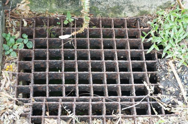 Cost of Yard Drain Cleaning in Auburn