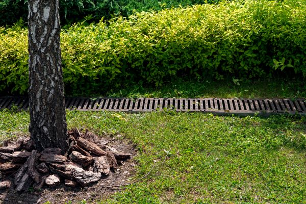 Cost of Wet Yard Drainage in Auburn