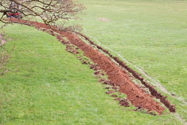 Cost of Swale Installation in Auburn