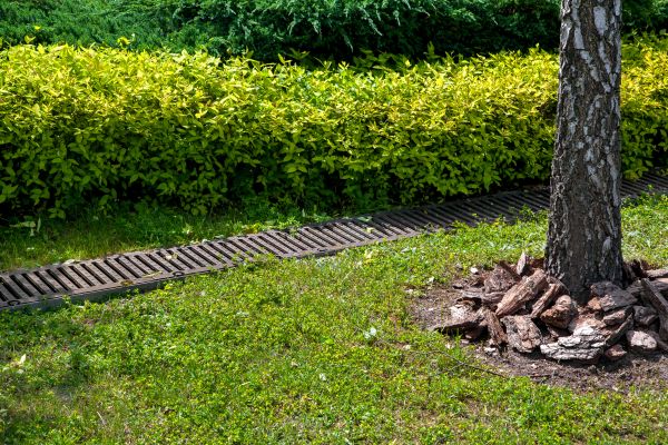 Cost of Residential Landscape Drainage in Auburn
