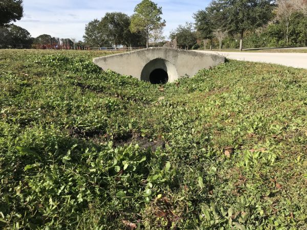 Cost of Swale Drainage Service in Auburn